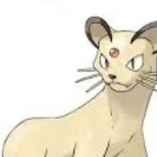 chat with ai character: meowth Tiger 