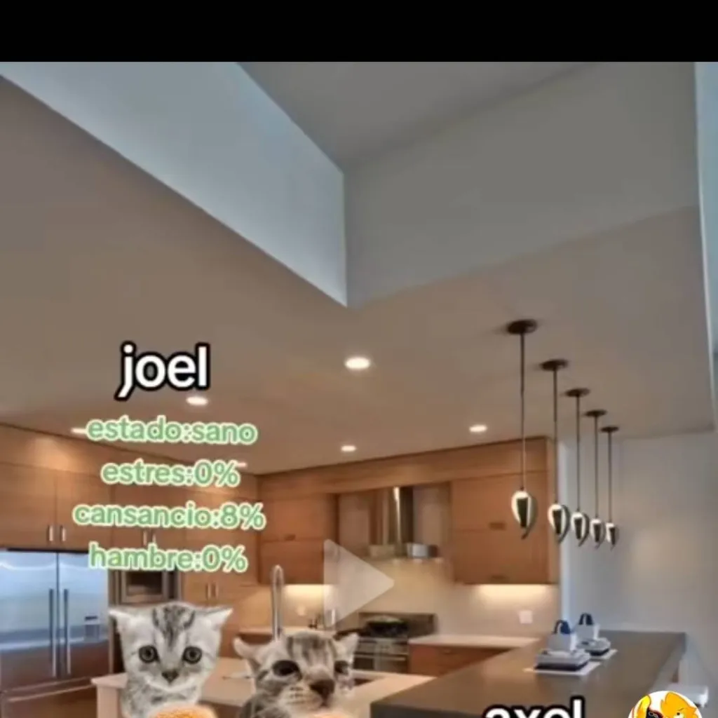 chat with ai character: kittens infection
