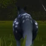 chat with ai character: blue kangaroo 