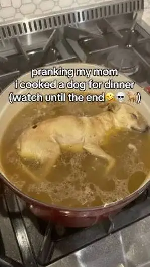 ai character: Cooked dog prank background