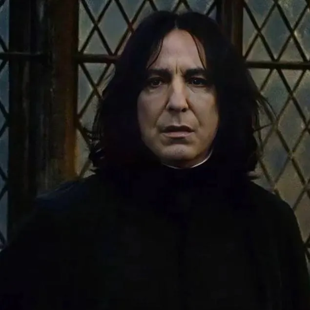 chat with ai character: Snape x you