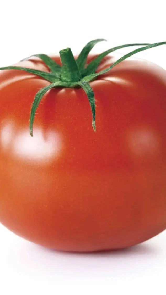 ai character: tomate  background
