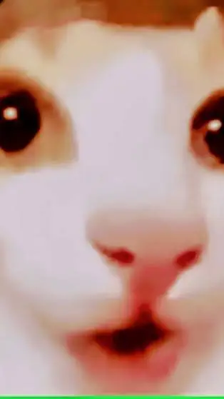 ai character: red kitty (me) background