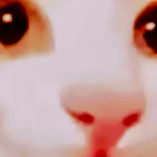 chat with ai character: red kitty (me)