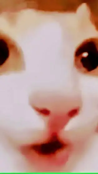 ai character: Red kitty (fixed) background
