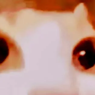 chat with ai character: Red kitty (fixed)