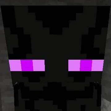 chat with ai character: Enderman