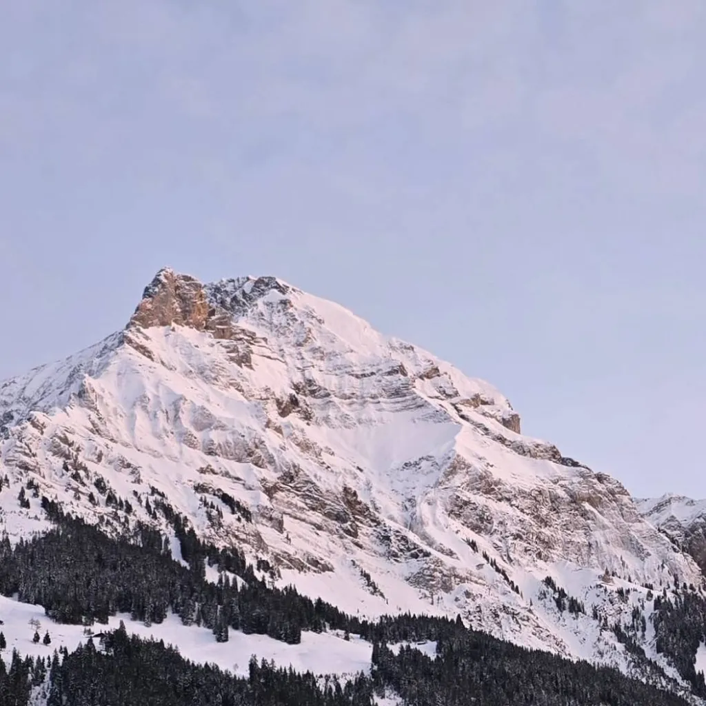 chat with ai character: Skz