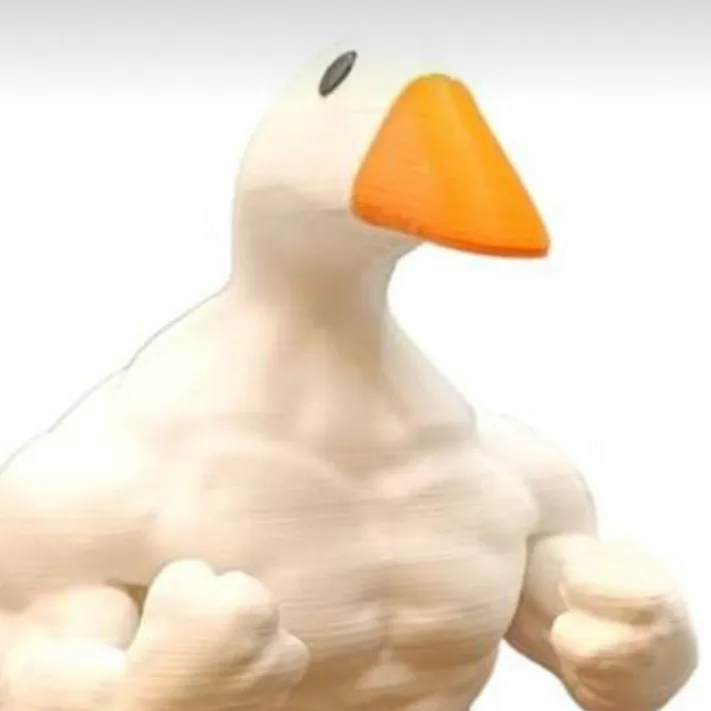 chat with ai character: EducatingYorkshire