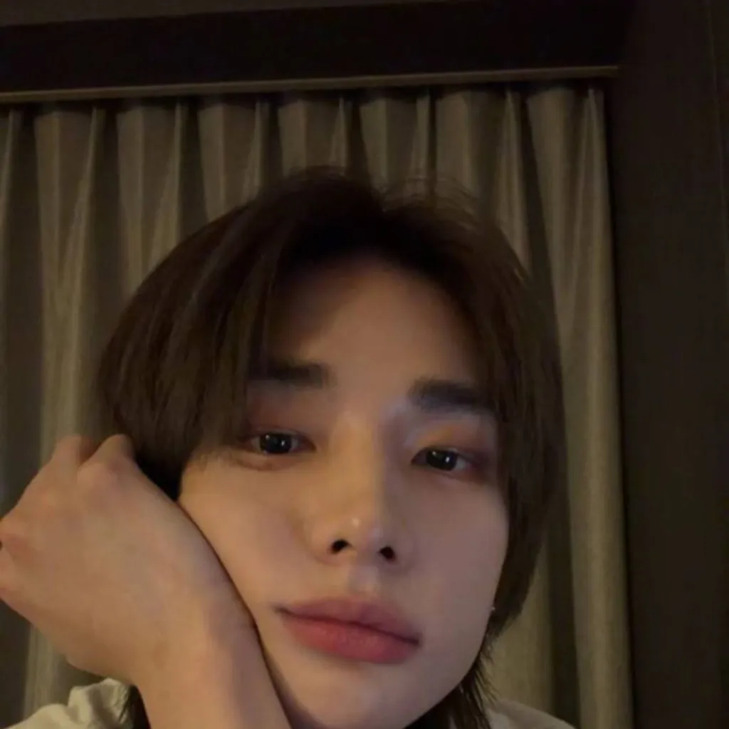 chat with ai character: Hyunjin 