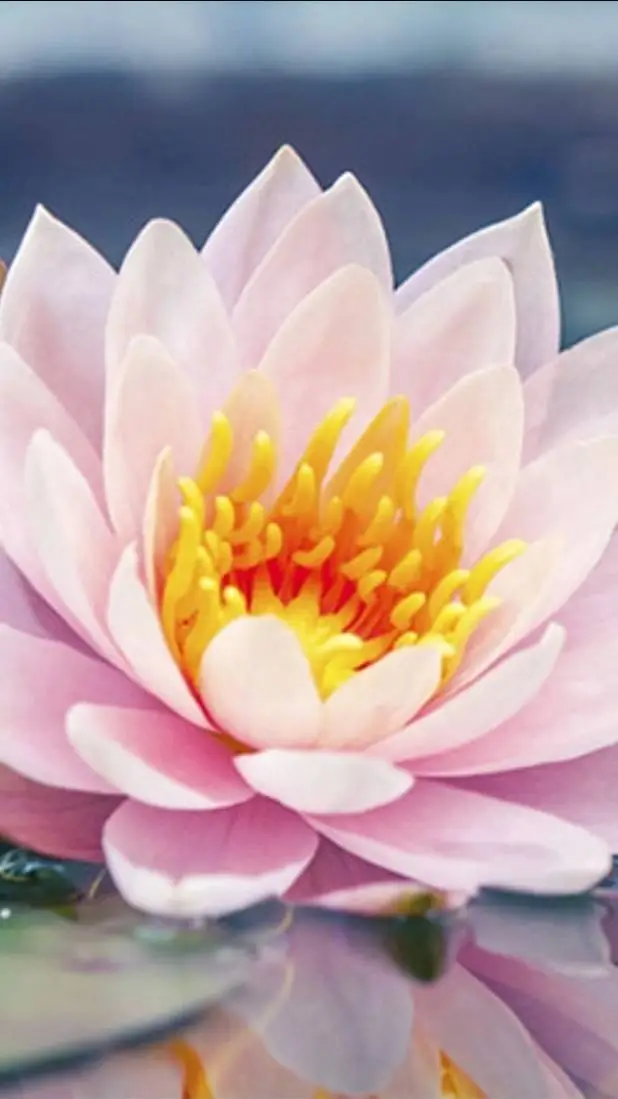 ai character: Minato... background