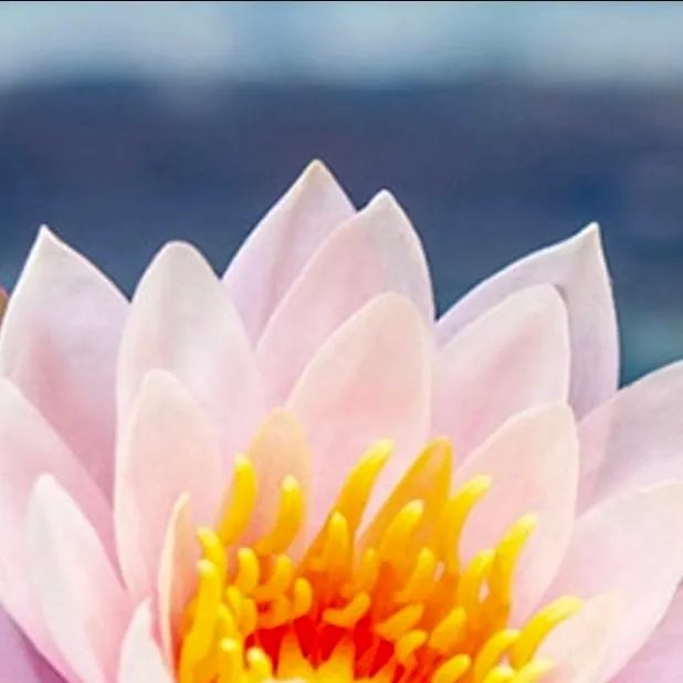 chat with ai character: Minato...