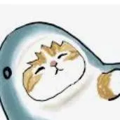 chat with ai character: Shark cat