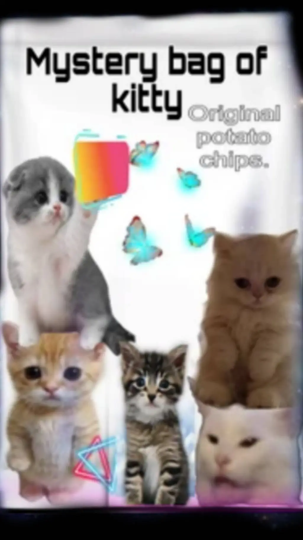 ai character: cat blindbag background