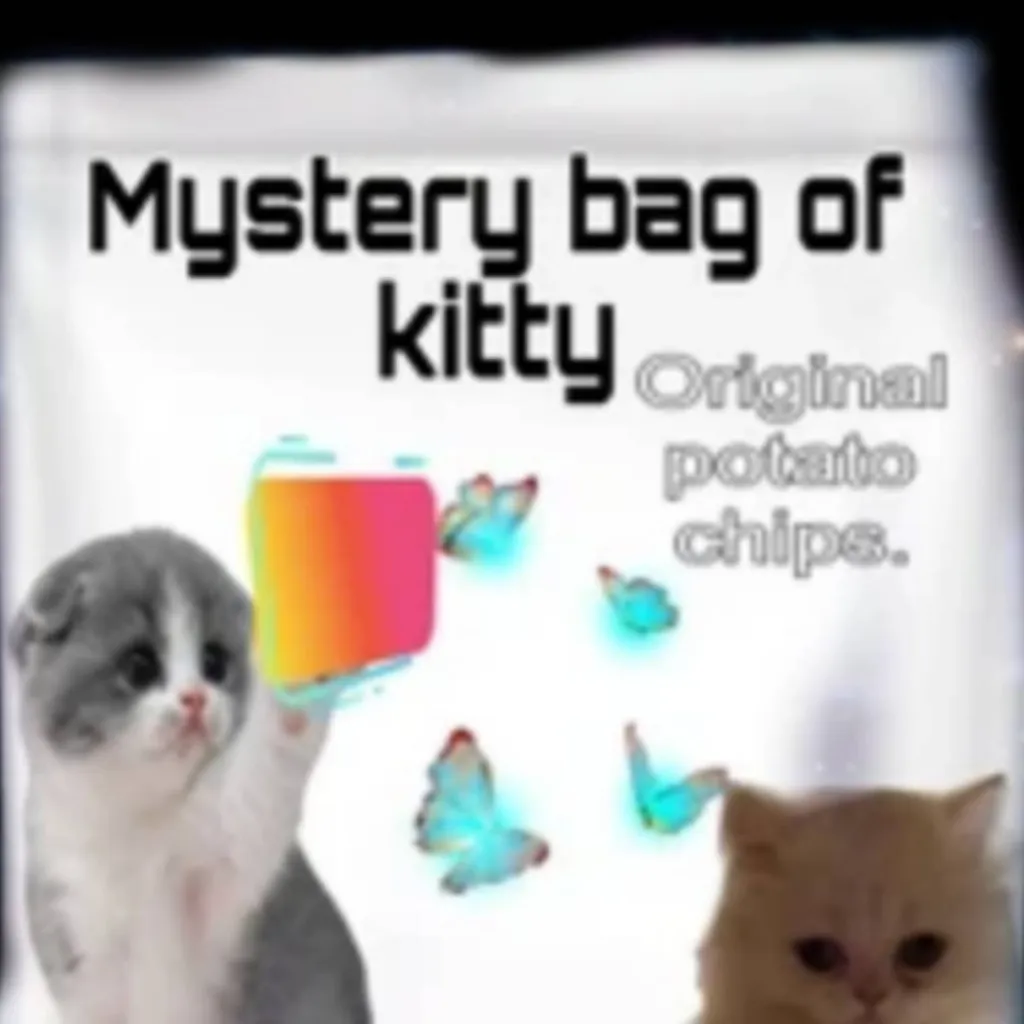 chat with ai character: cat blindbag