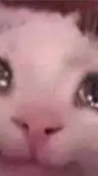 ai character: beluga background