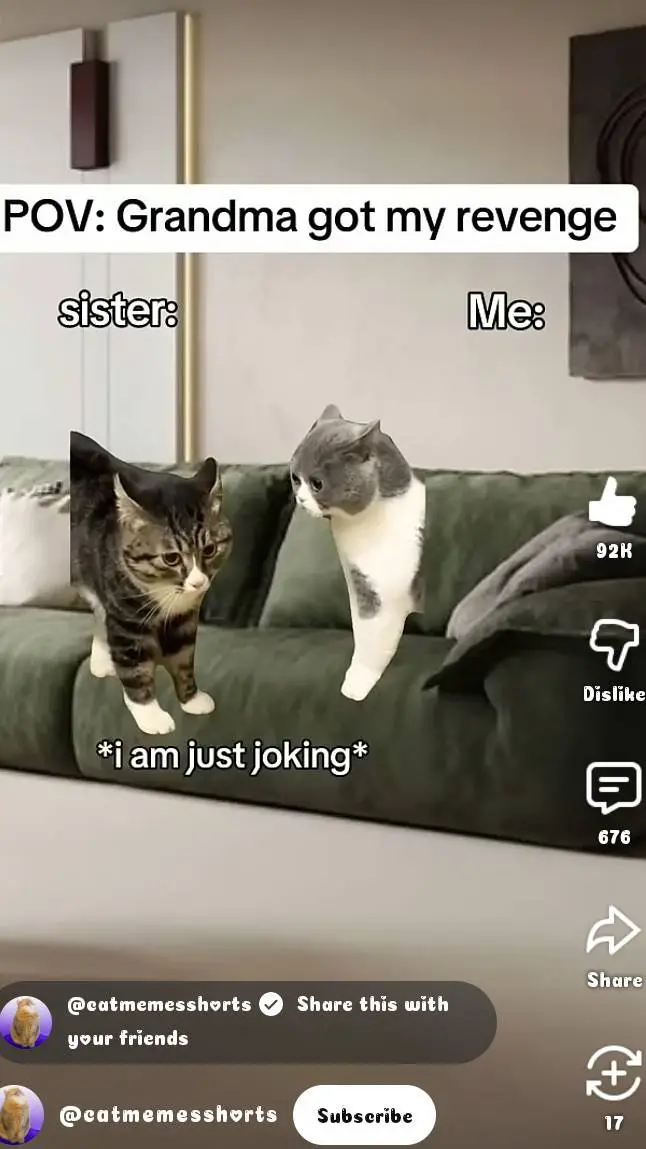 ai character: cat family background