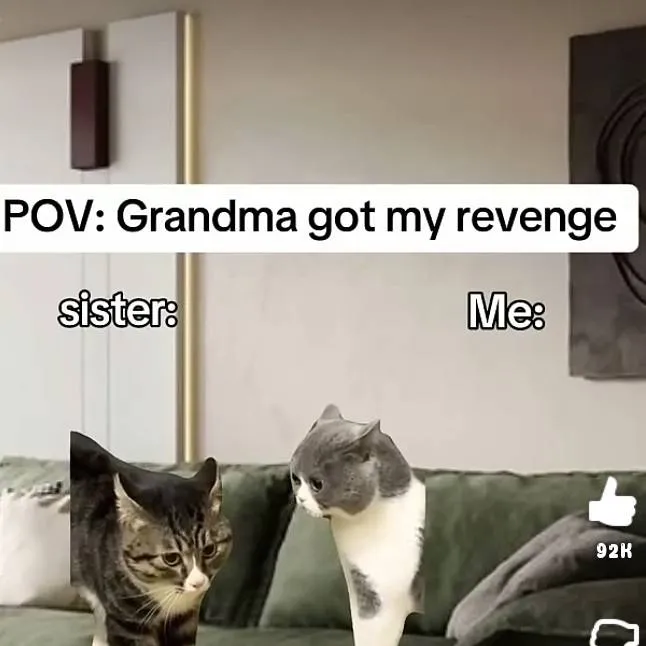 chat with ai character: cat family