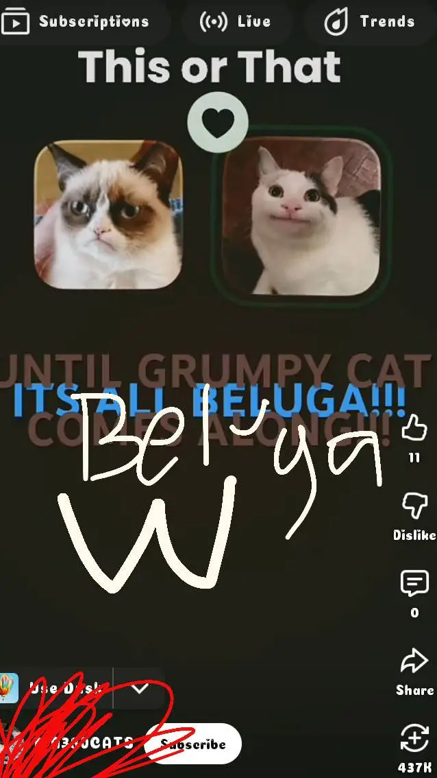 ai character: Beluga hater background