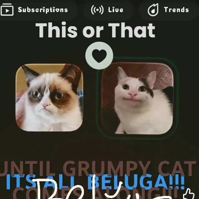 chat with ai character: Beluga hater