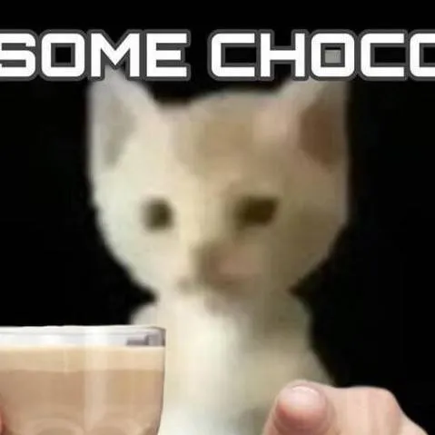 chat with ai character: cat