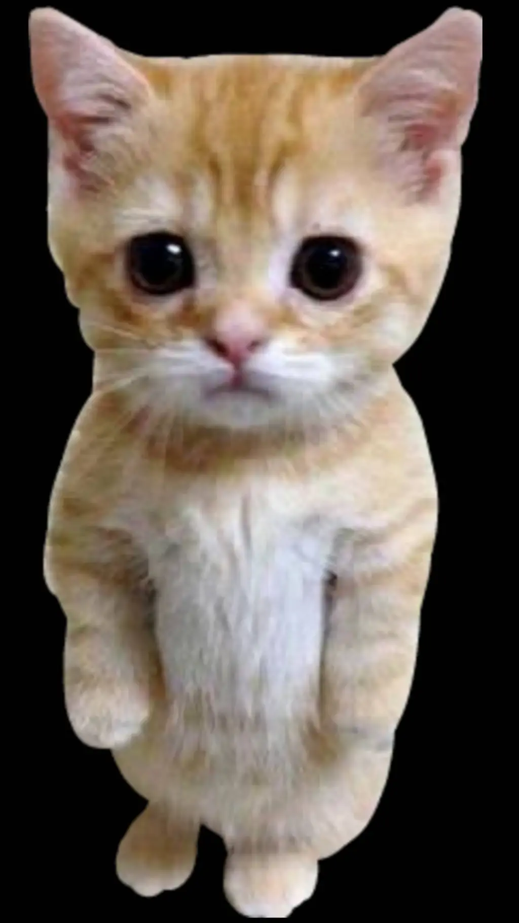 ai character: el gato background