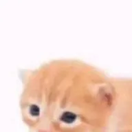 chat with ai character: gary