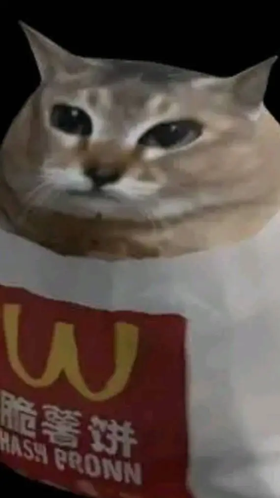 ai character: wcdonalds cat brgr background
