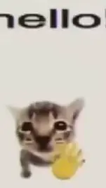 ai character: hello cat background