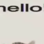 chat with ai character: hello cat