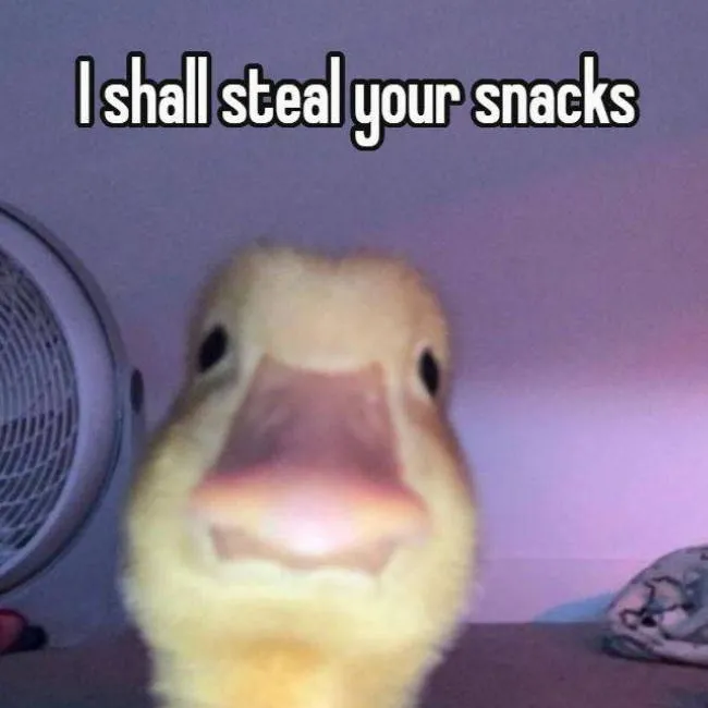 chat with ai character: annoying duck