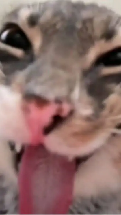 ai character: Rtsc background