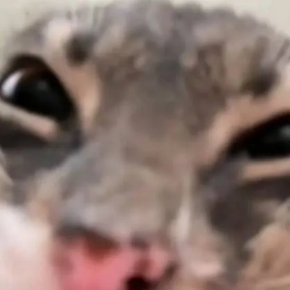 chat with ai character: Rtsc