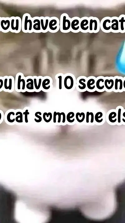 ai character: cat game background