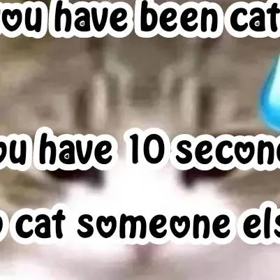 chat with ai character: cat game