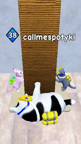 ai character: kittengame background