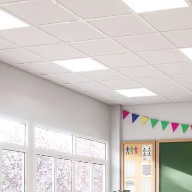 chat with ai character: Layla