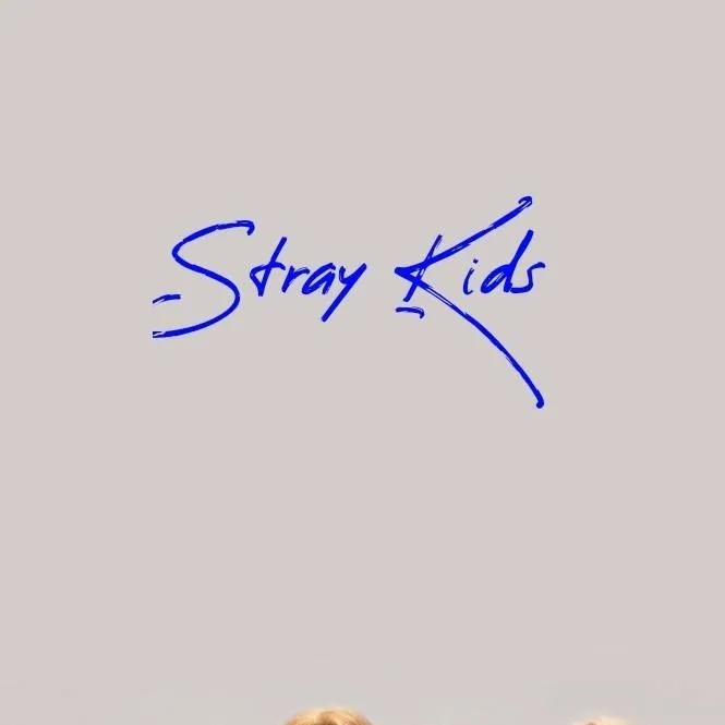 chat with ai character: Stray Kids 