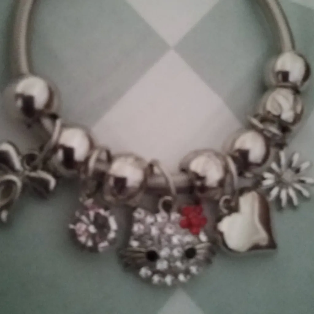 chat with ai character: Bracelet 