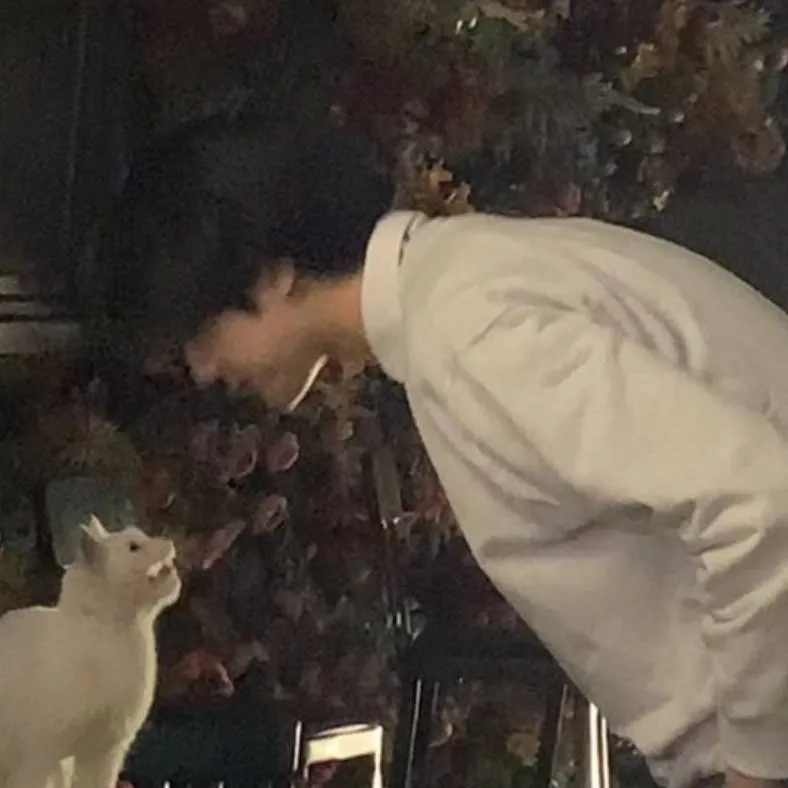 chat with ai character: Cyan