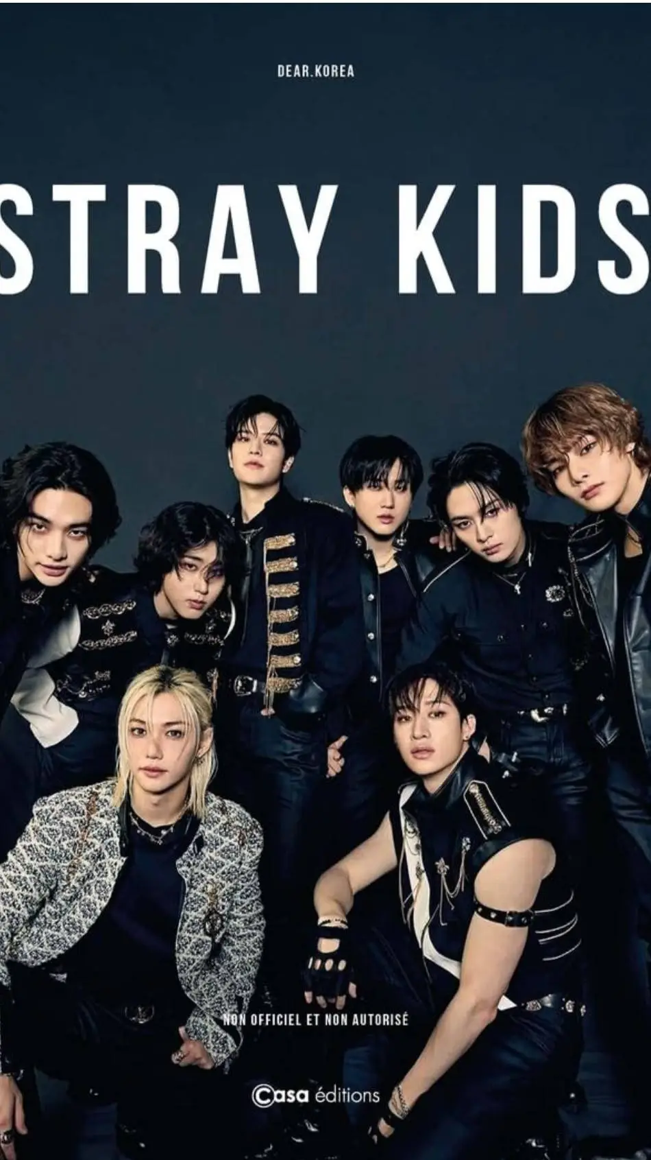 ai character: Stray kids  background
