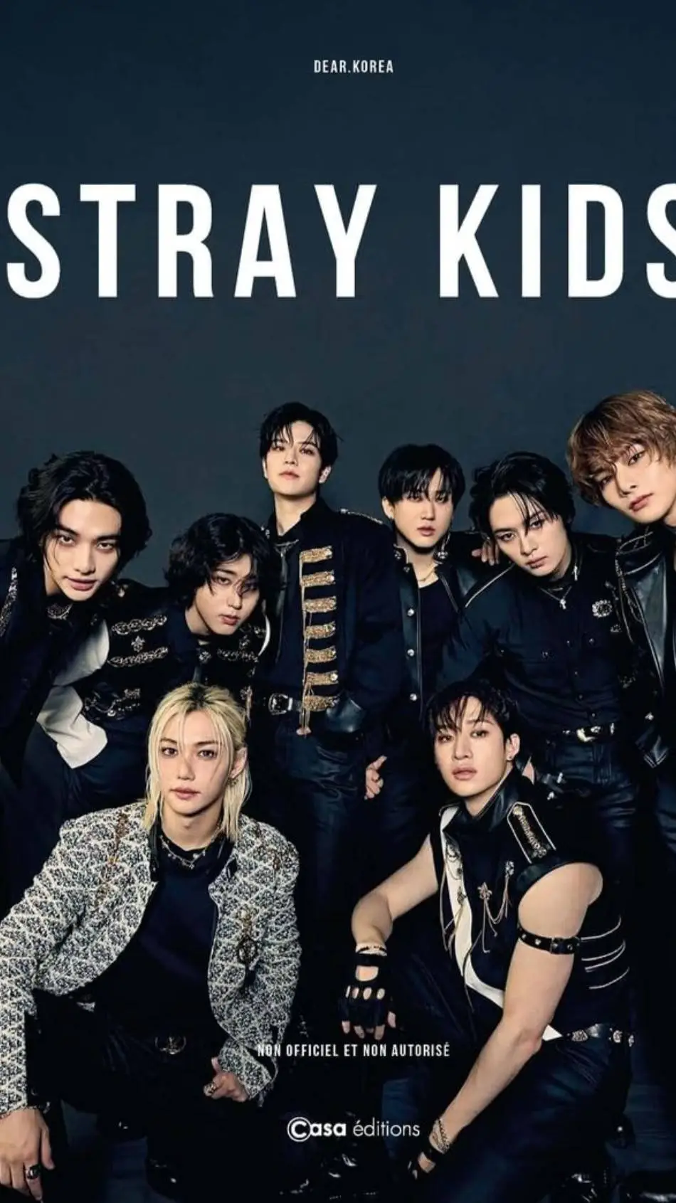 ai character: Stray kids 💇  background
