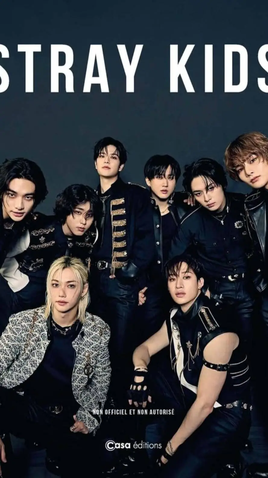ai character: Stray kids dispute background