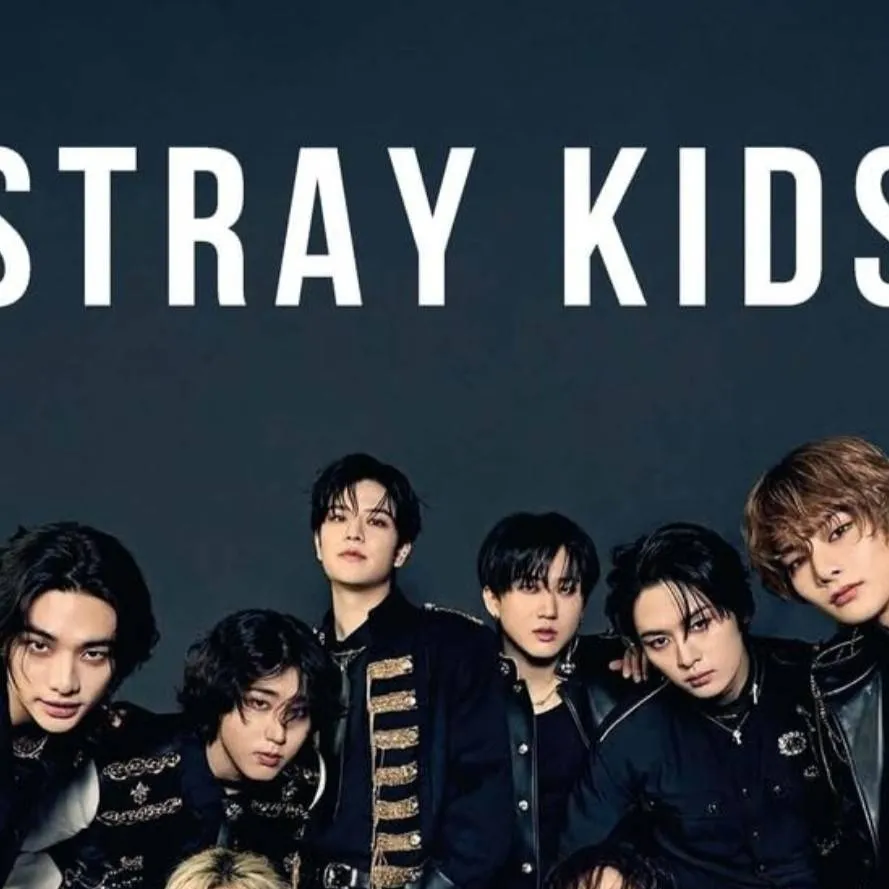 chat with ai character: Stray kids dispute