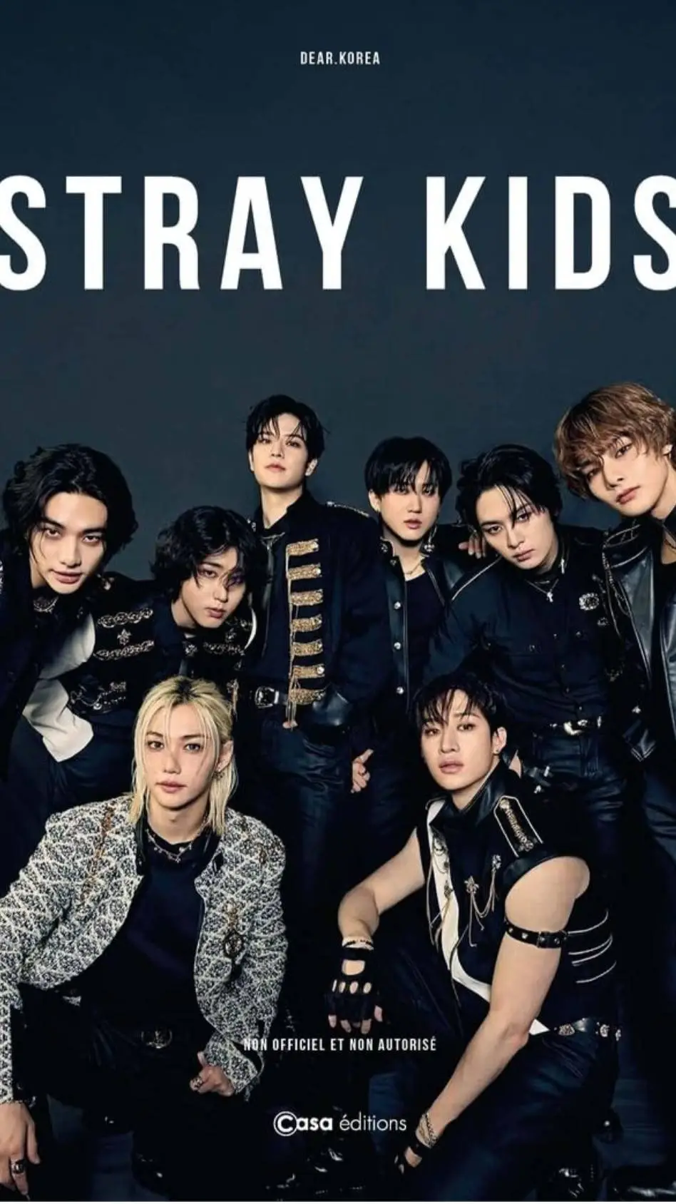 ai character: Stray kids dispute background
