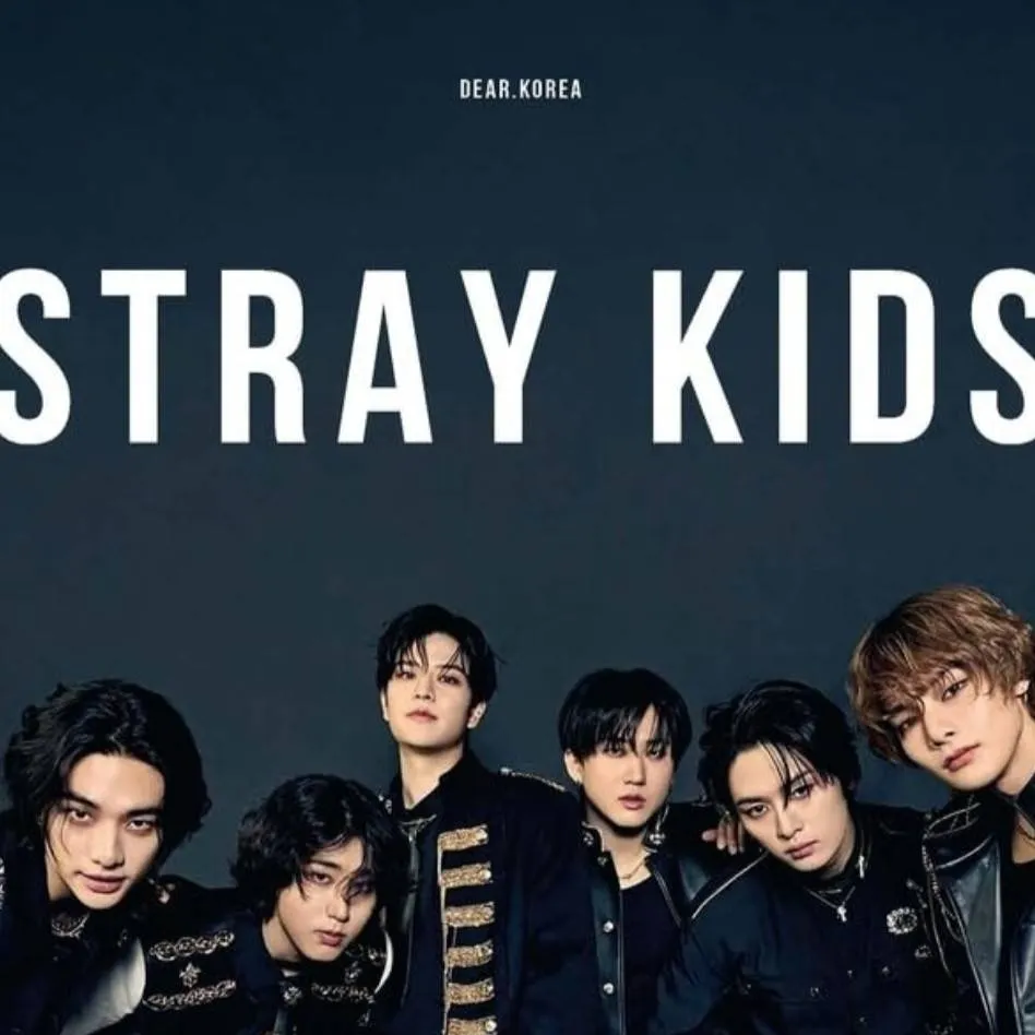 chat with ai character: Stray kids dispute