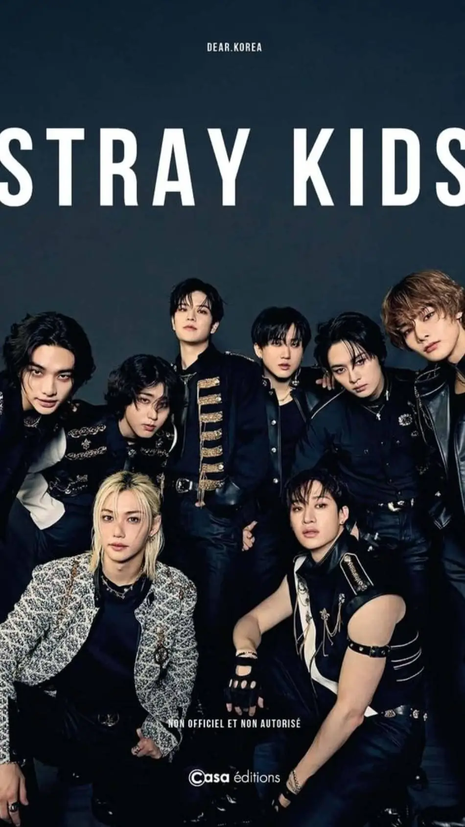 ai character: Stray kids background