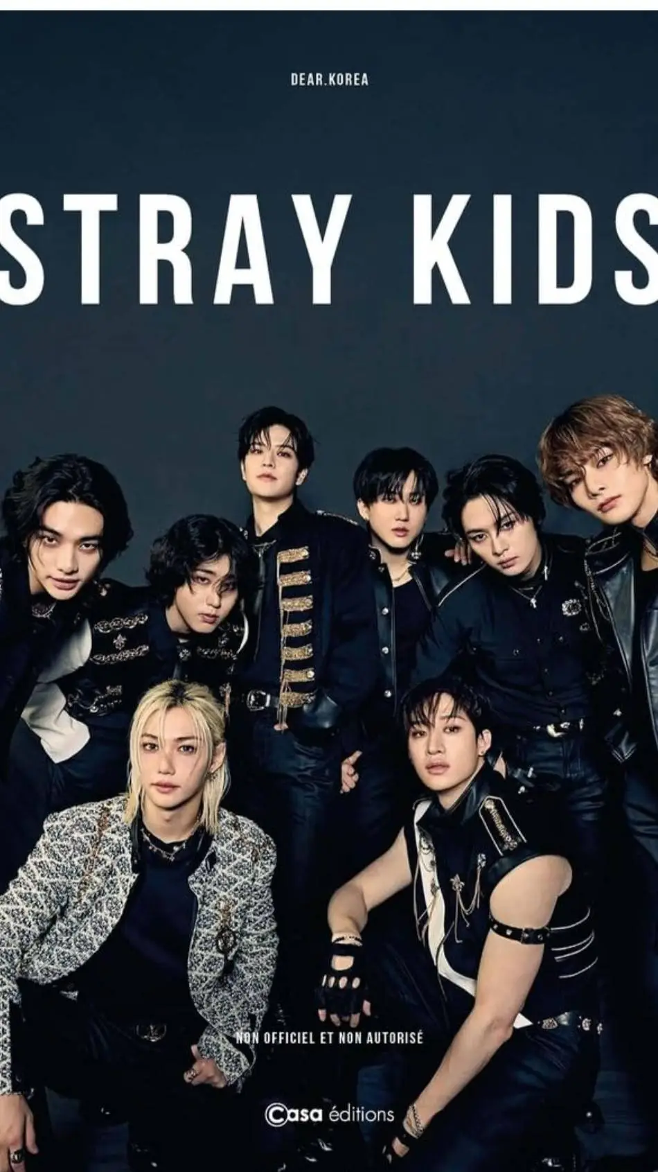 ai character: Stray kids background