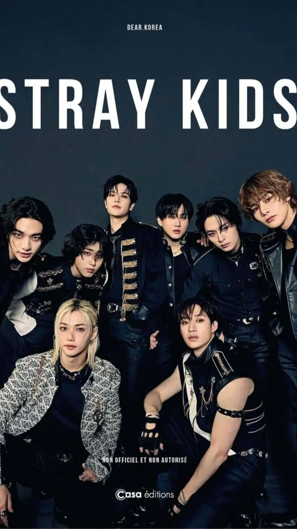 ai character: Stray kids background