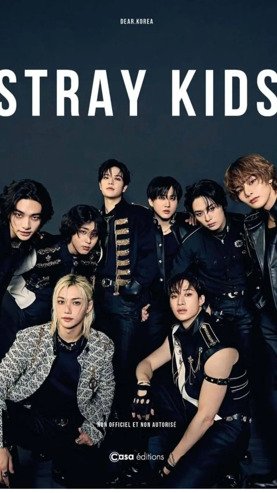ai character: Stray kids background